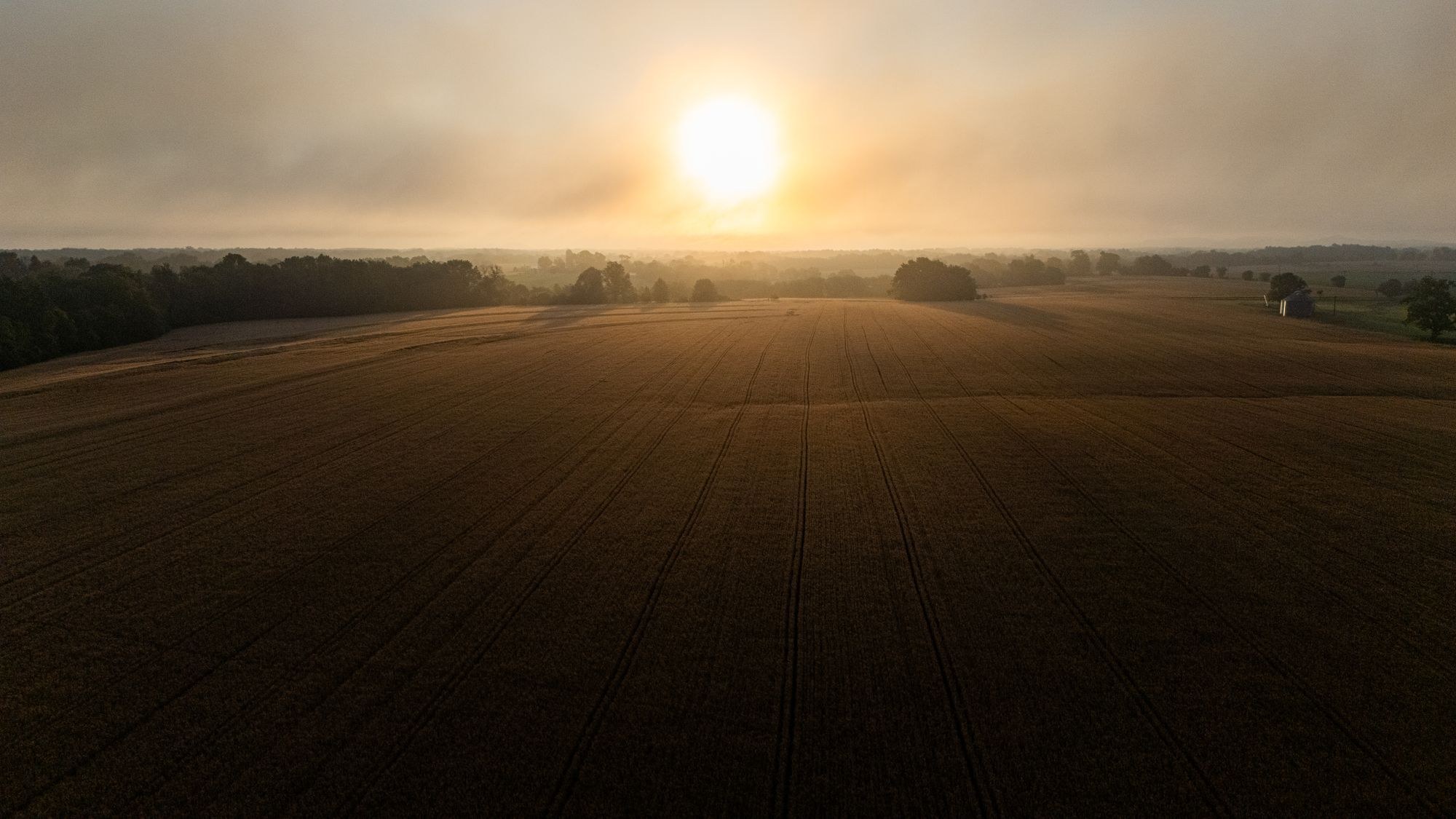 European agricultural landscape at golden hour
